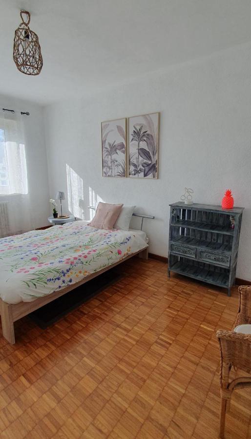 Charming Penthouse Near Como Lake キアッソ エクステリア 写真