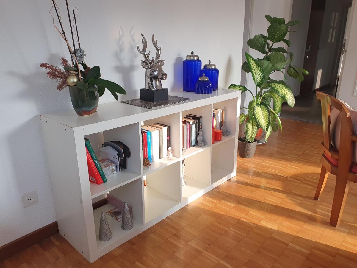Charming Penthouse Near Como Lake キアッソ エクステリア 写真
